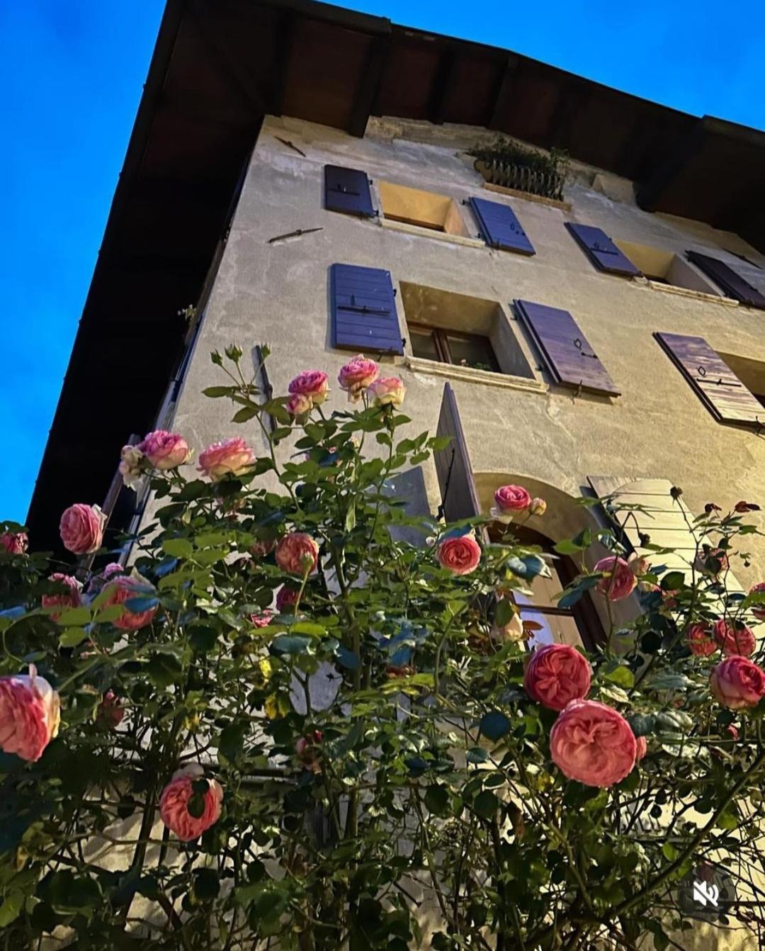 Via Mezzaterra 10 Apartment Feltre Exterior photo